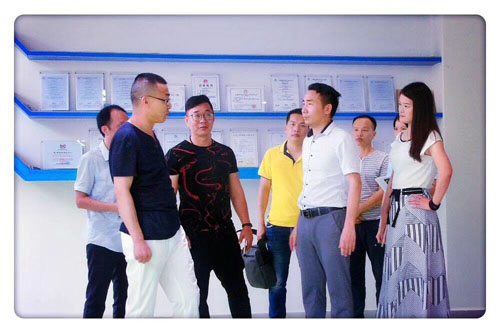 電采暖示范工程建設技術專家組組長