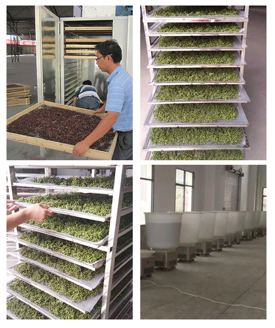 花椒烘干機，一體式空氣能花椒烘干機，一體式小型家用烘干機